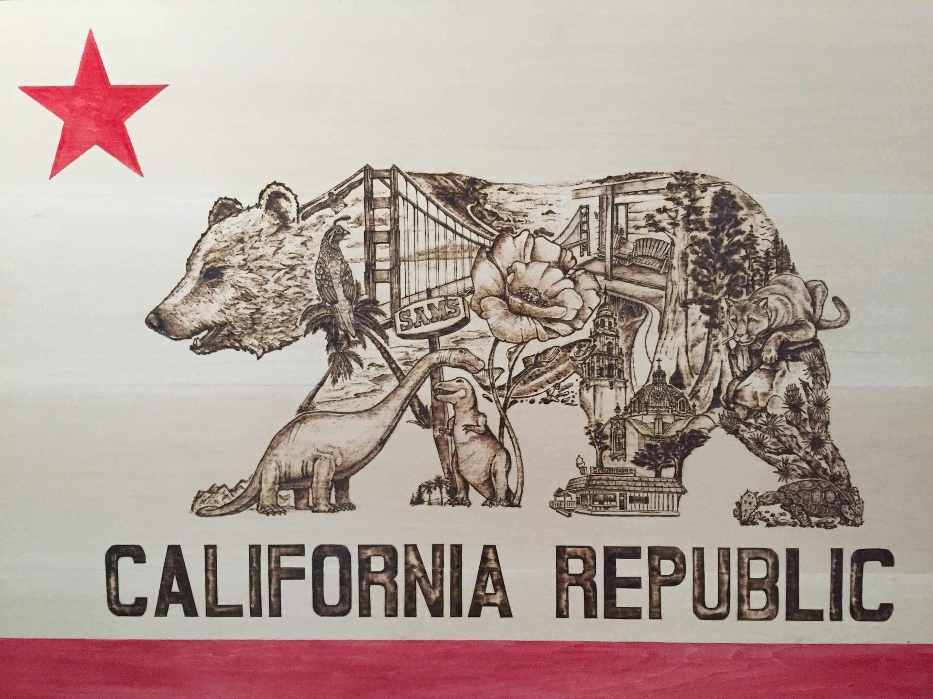 Bandiera California Republic orso, 1920x1440 Full HD+ WUXGA, Desktop