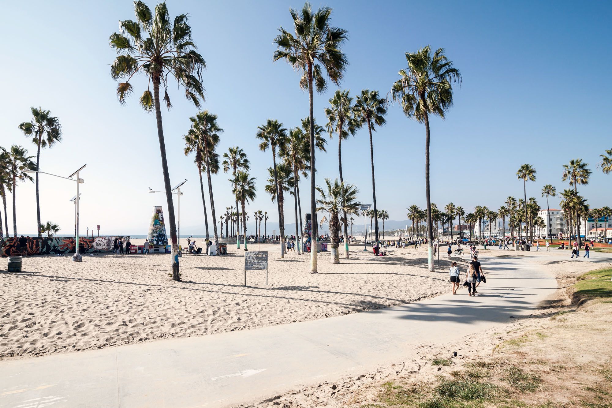 Spiaggia con palme California, 2000x1333 alta risoluzione, iMac