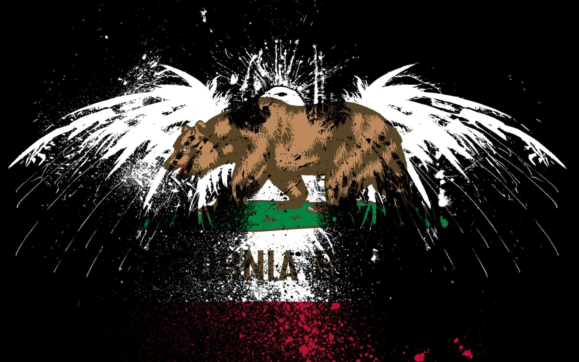 Bandiera California orso stilizzato, 1920x1200 Full HD+ WUXGA, Desktop