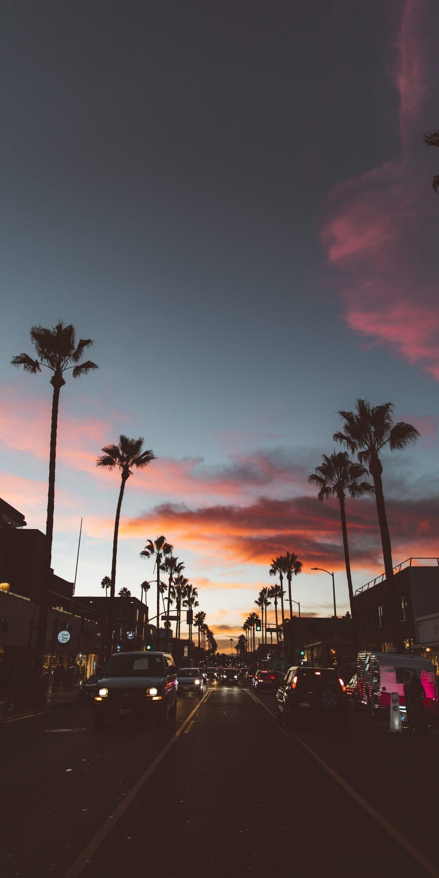 Palme tramonto strada California, 1414x2828 Verticale, Mobile