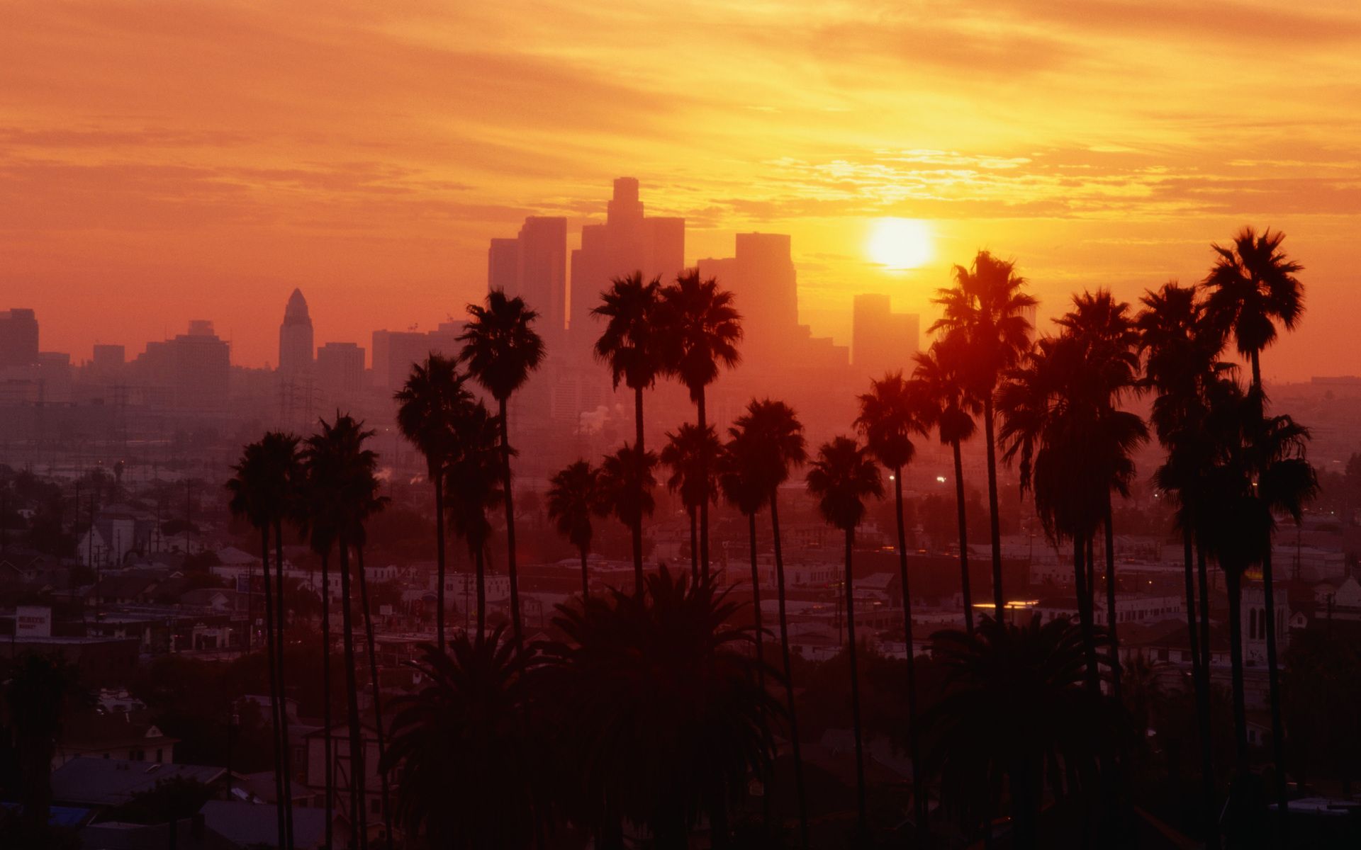 Los Angeles tramonto palme skyline, 1920x1200 WUXGA, iMac