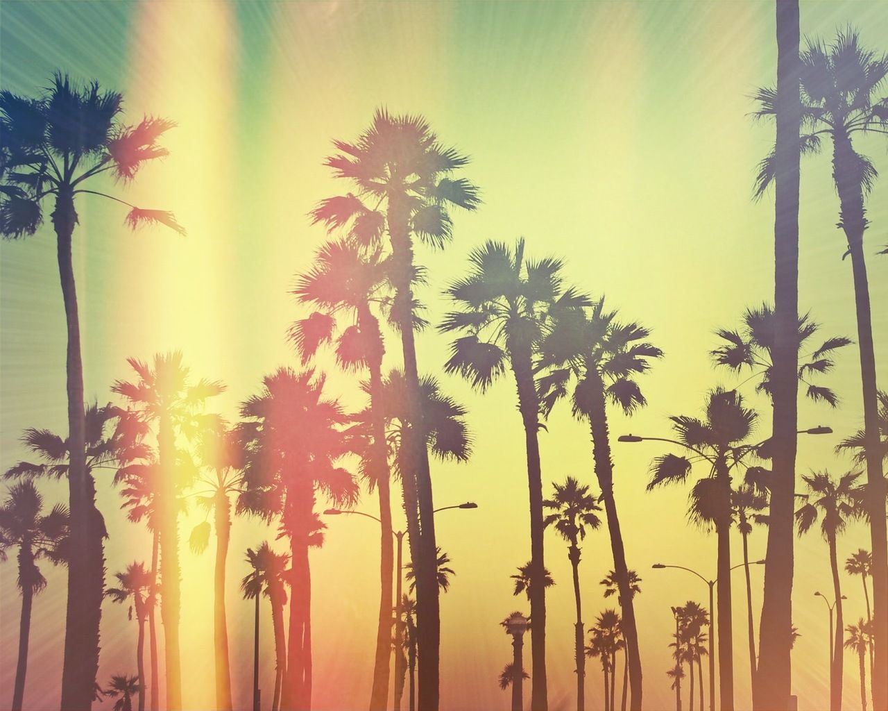 Palme sagome tramonto California, 1280x1024 HD, Desktop