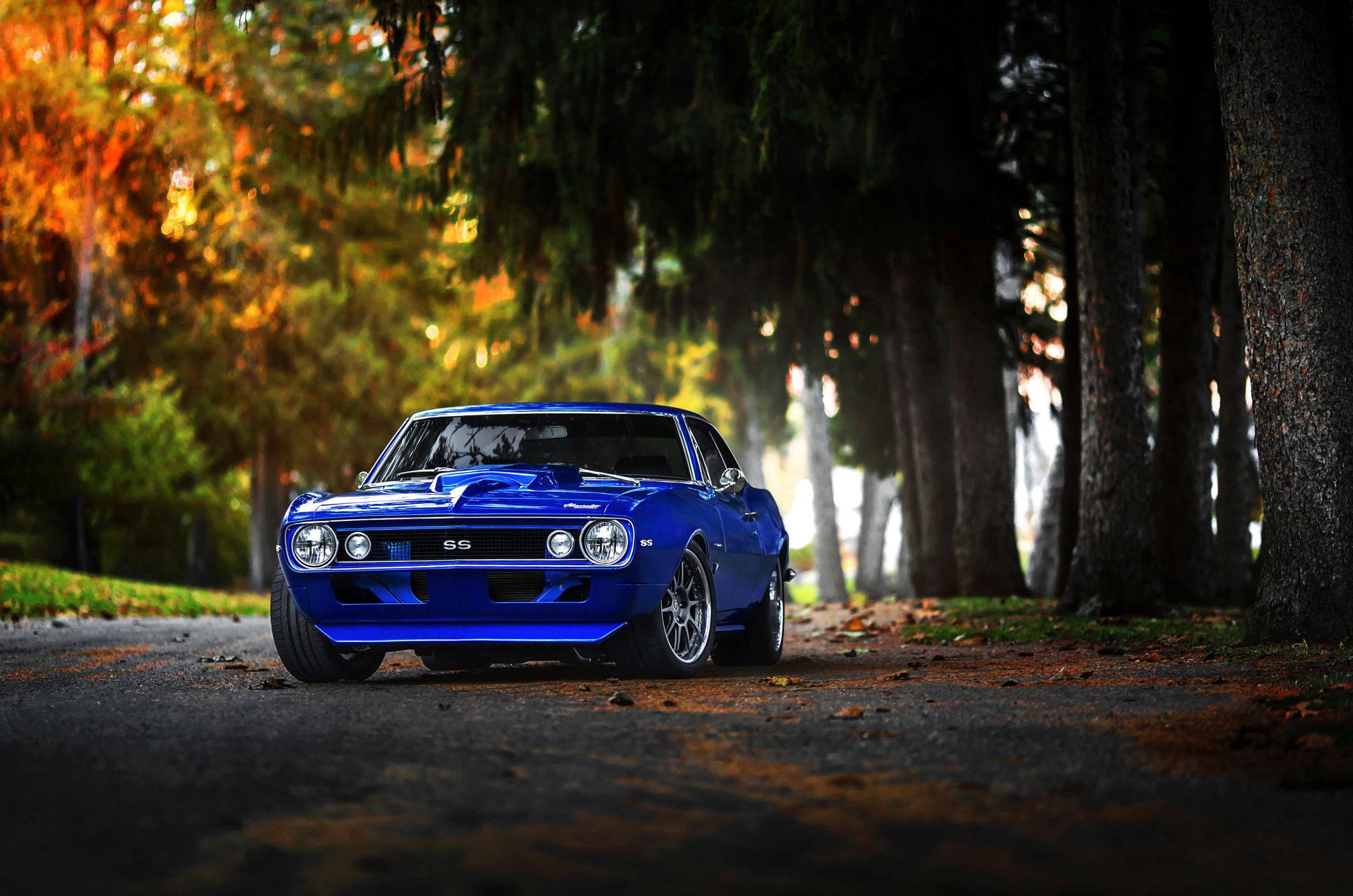 Camaro SS blu su strada alberata, 2048x1357 alta risoluzione, Laptop