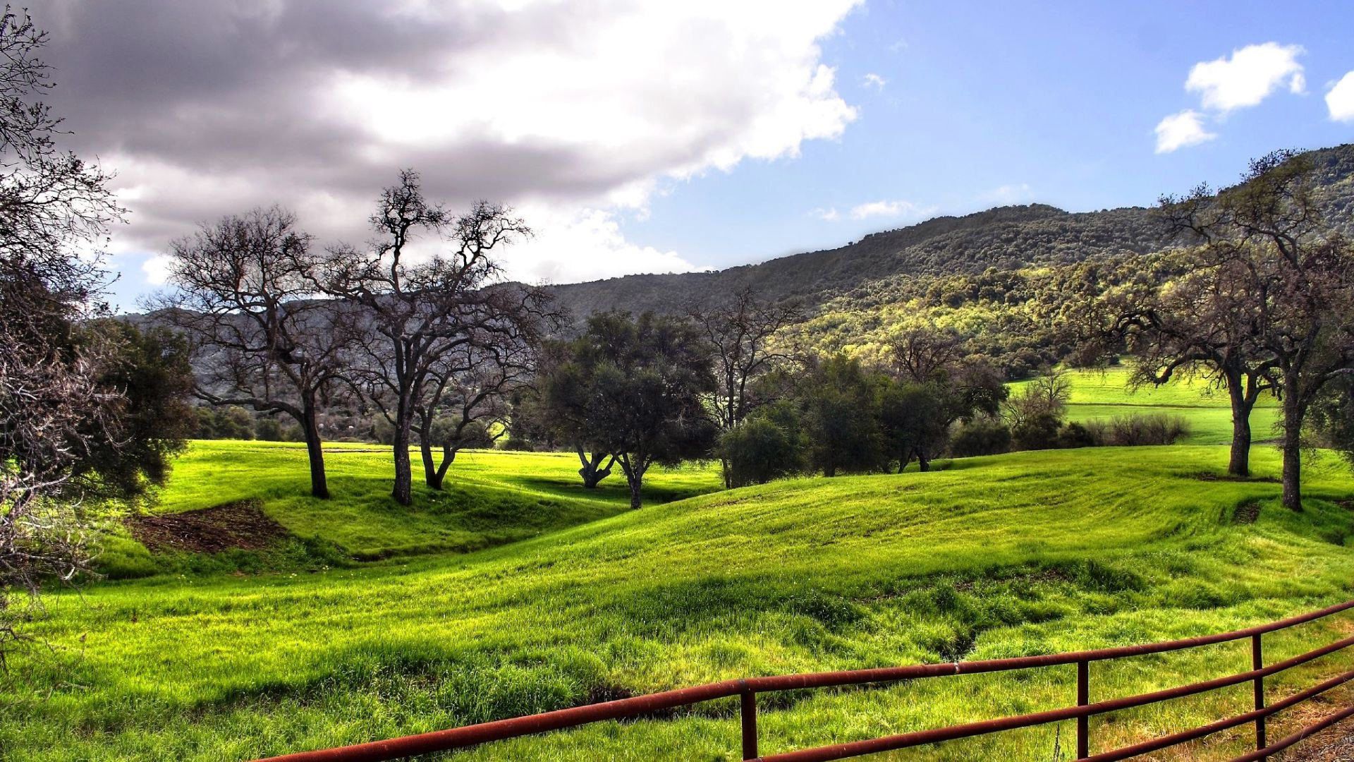Collina verde con alberi e recinto, 1920x1080 Full HD 1080p, Desktop