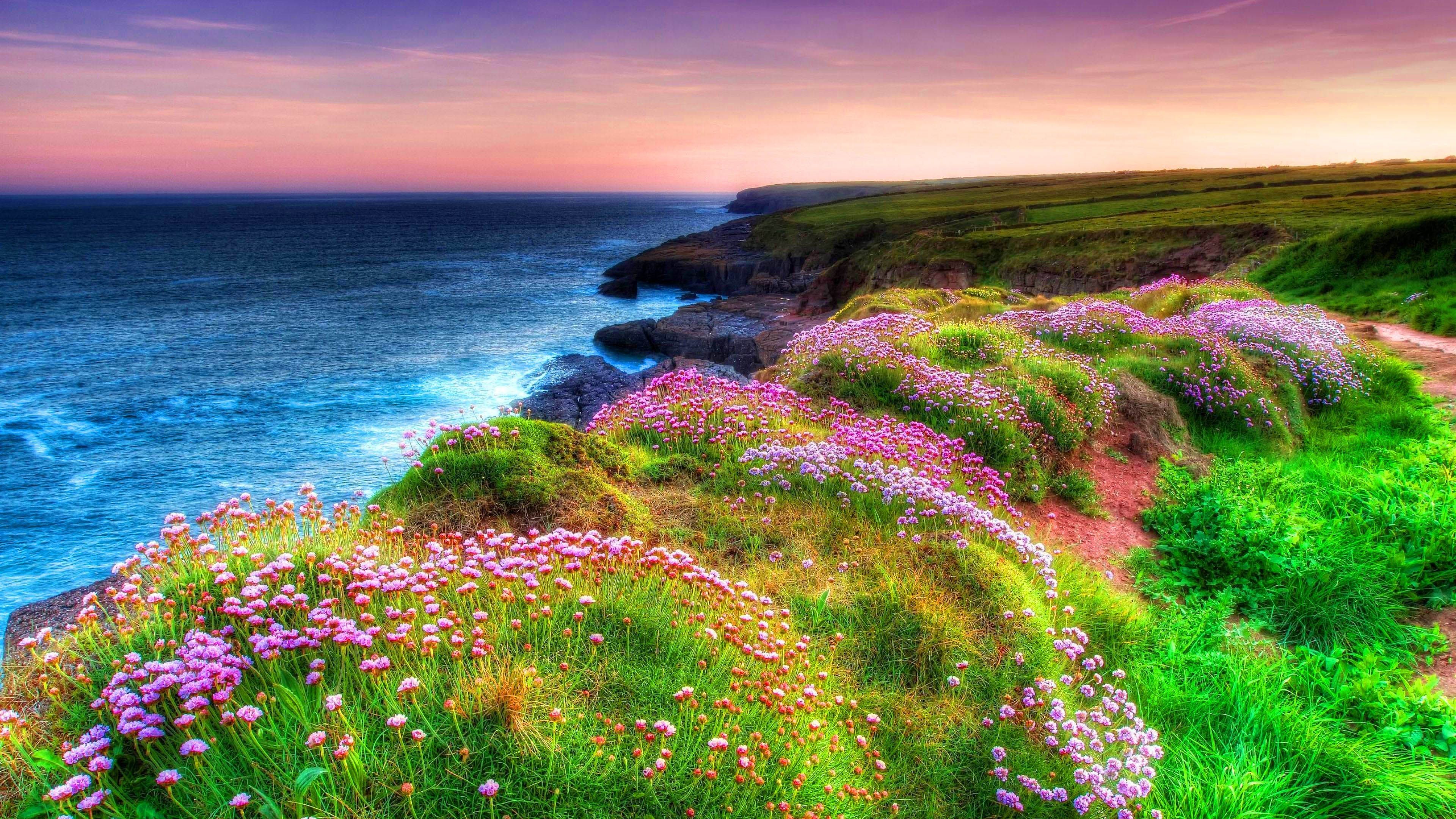 Scogliera irlandese fiorita al tramonto, 3840x2160 4K Ultra HD, Monitor 4K