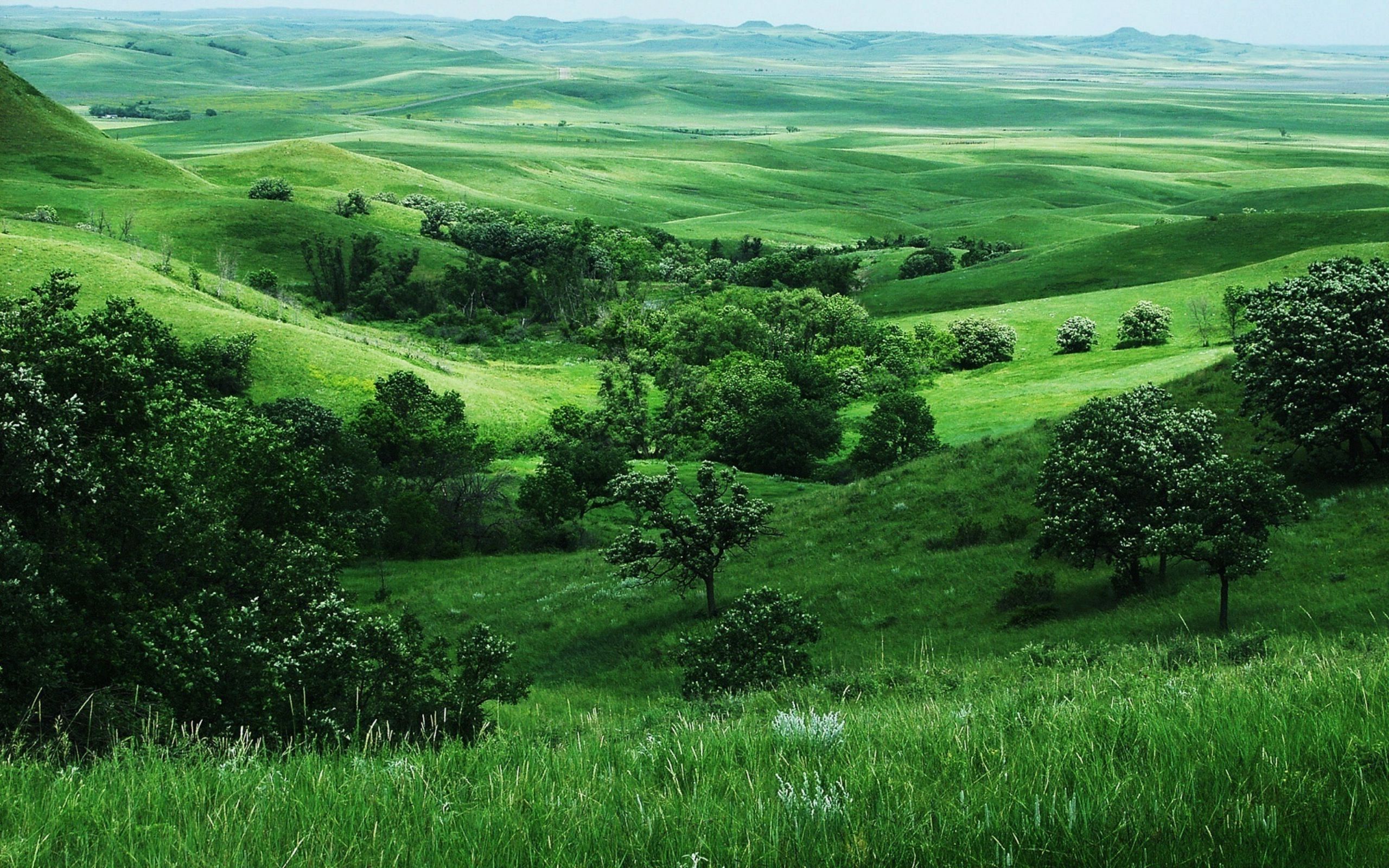 Colline verdi campagna, 2560x1600 2K, MacBook Pro