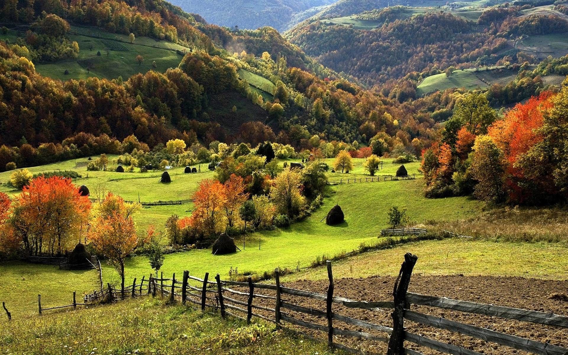 Valle rurale autunnale con recinto, 1920x1200 Full HD+, Laptop