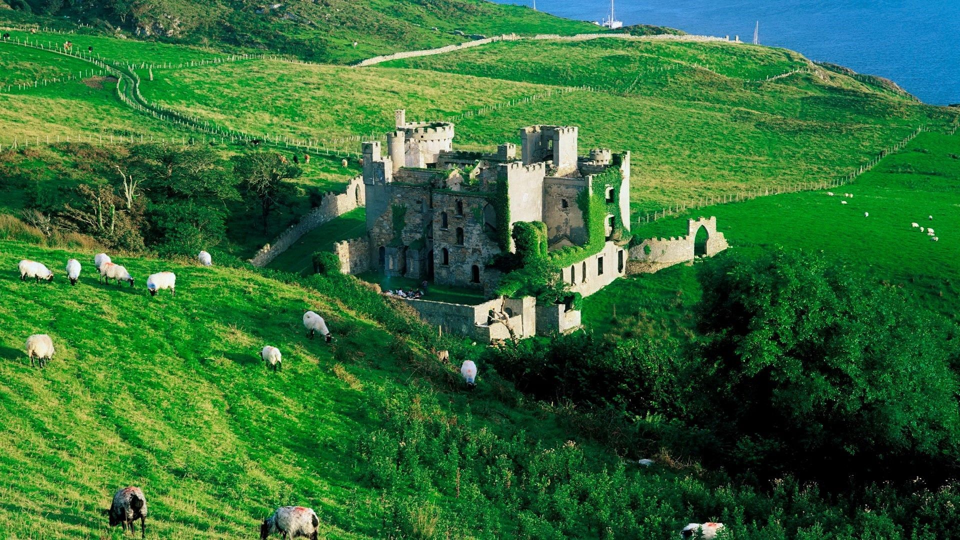 Castello rovina campagna irlandese verde, 1920x1080 Full HD, PC Desktop
