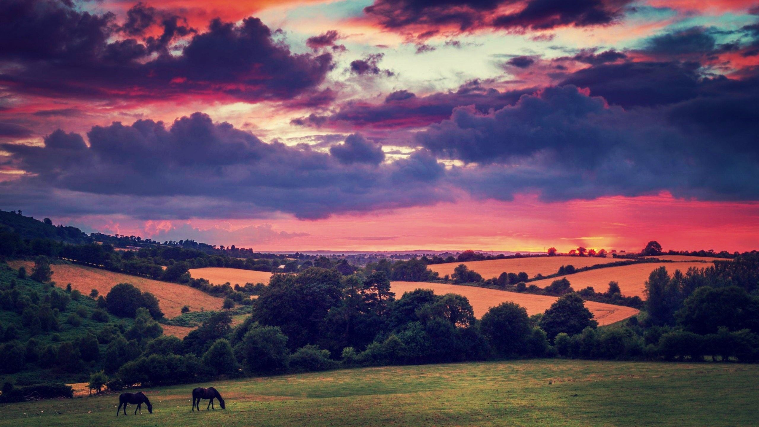 Campagna irlandese al tramonto, 2560x1440 2K QHD, PC