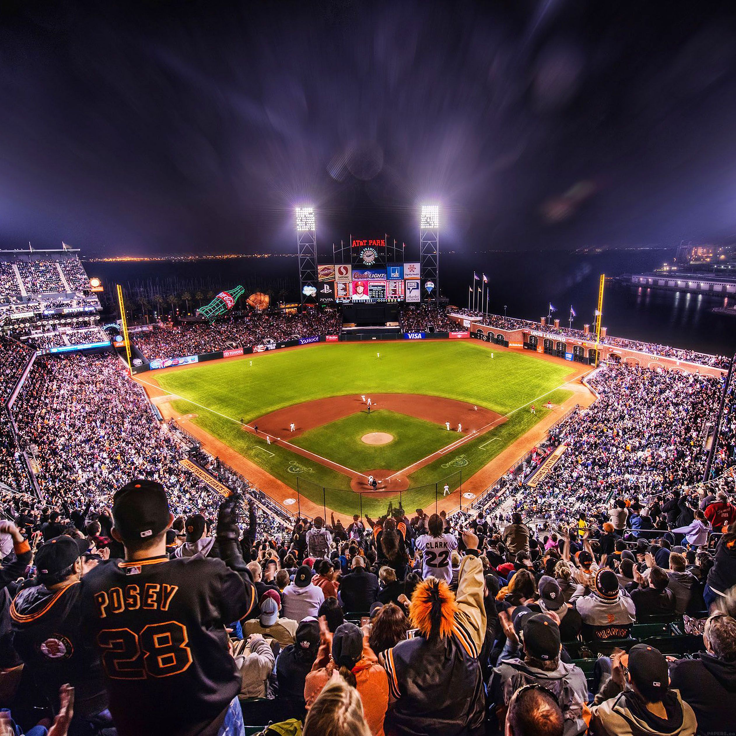 Stadio baseball notturno gremito, 2524x2524 2K, Desktop