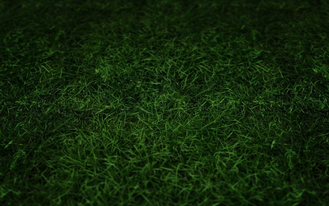 Texture erba campo calcio, 2560x1600 2K, PC