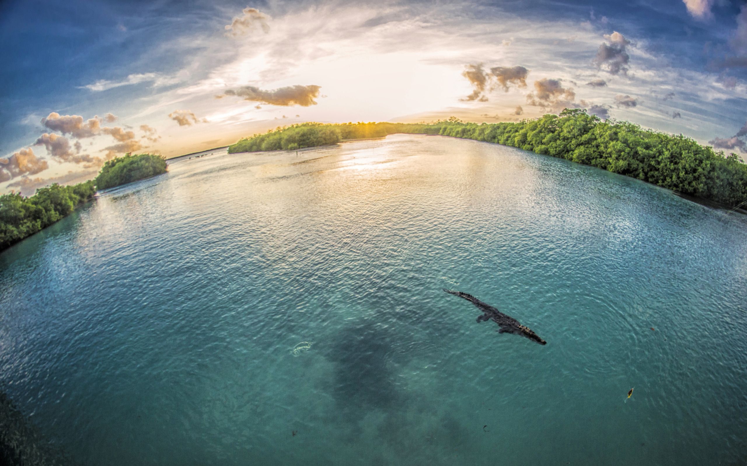 Laguna con coccodrillo, Messico, nazionale calcio, 2560x1600 WQXGA, Desktop