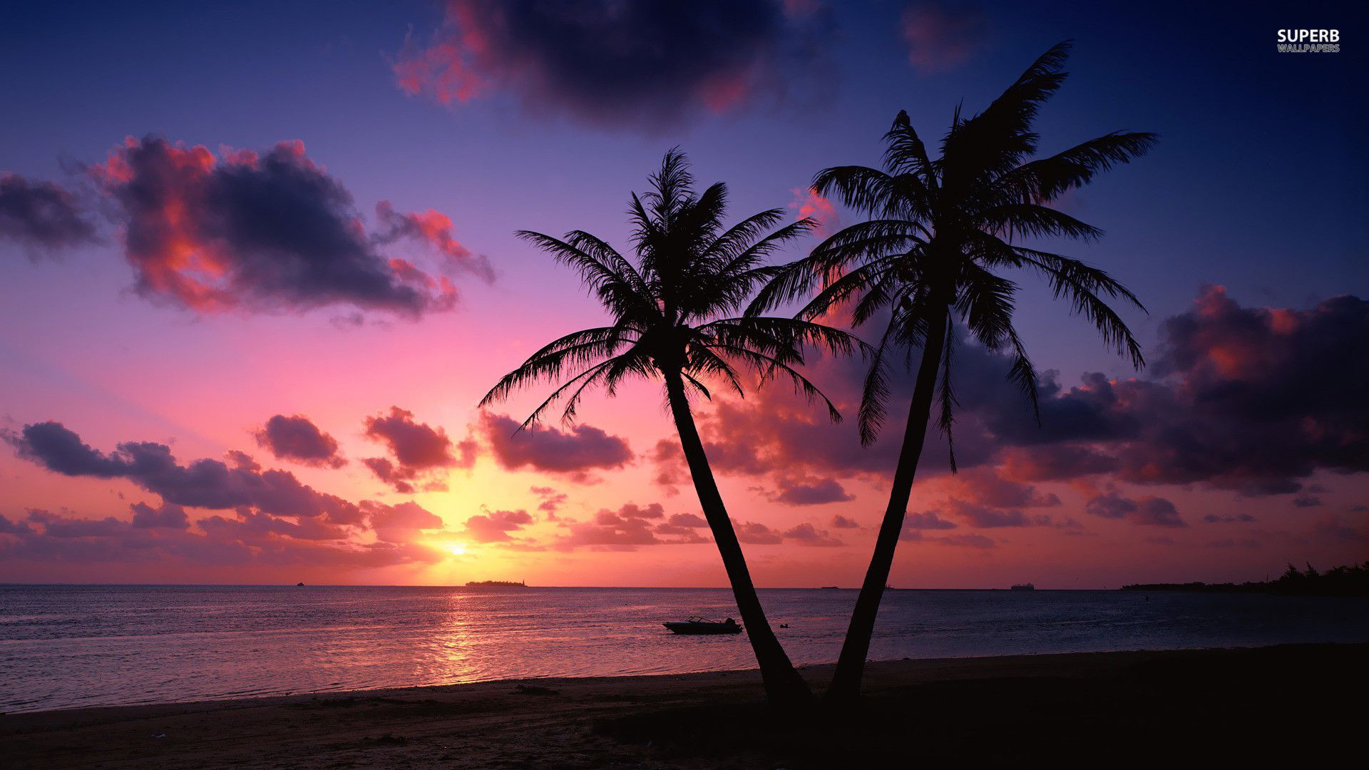 Spiaggia con palme al tramonto, 1920x1080 1080p, Desktop