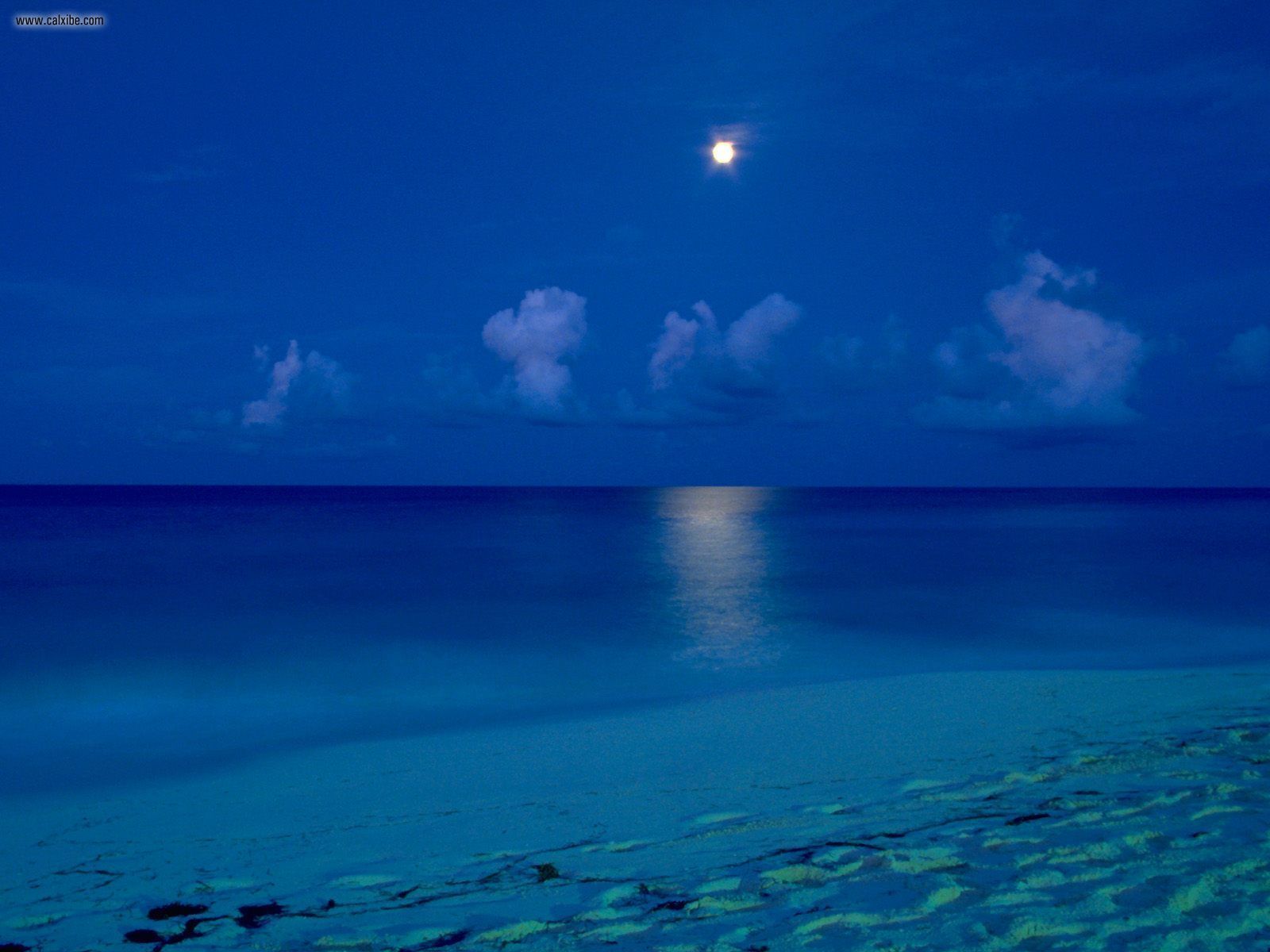 Luna piena su spiaggia notturna, 1600x1200 900p, Laptop
