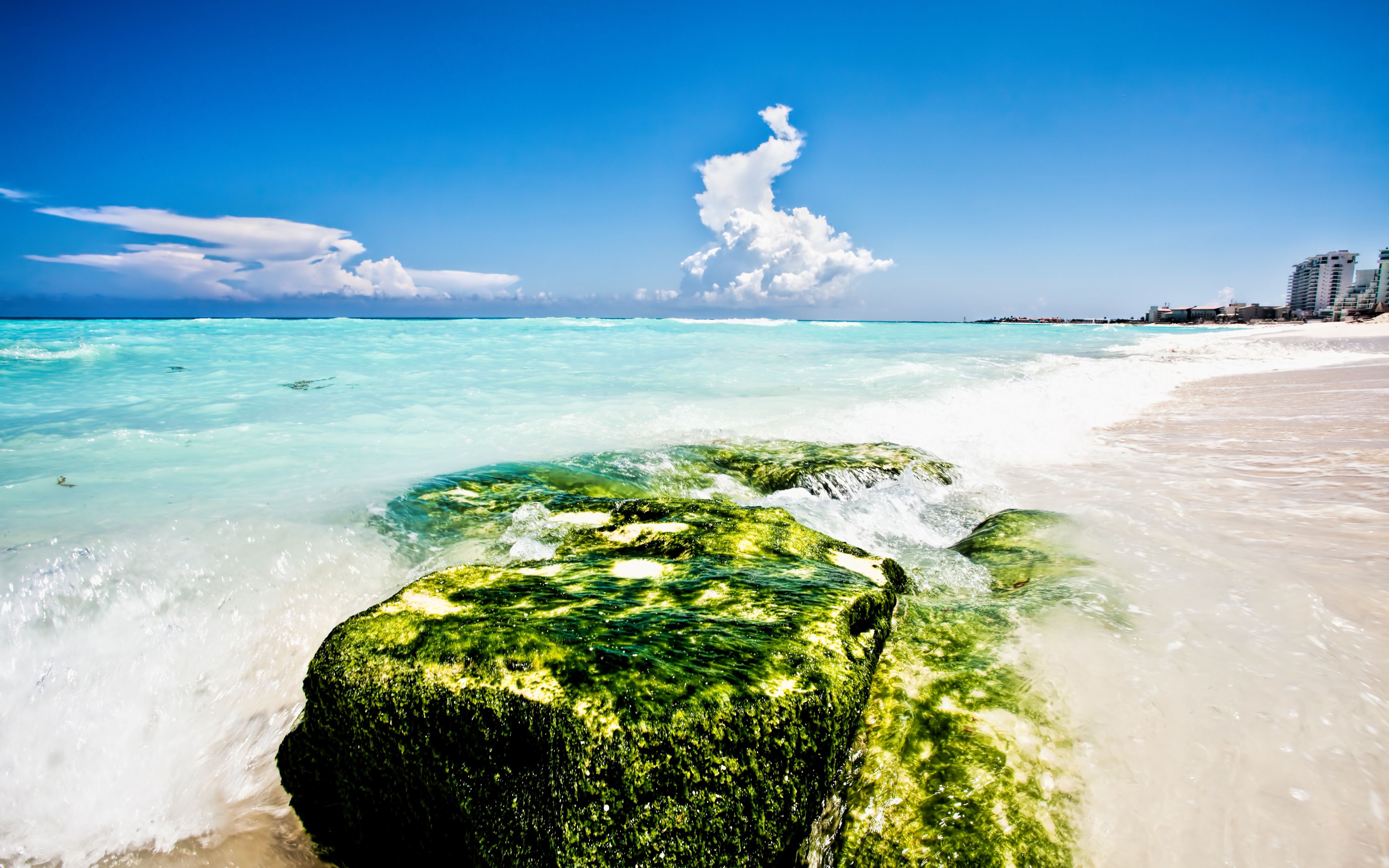 Spiaggia con roccia alghe verdi, 3840x2400 4K Ultra HD, Monitor 4K