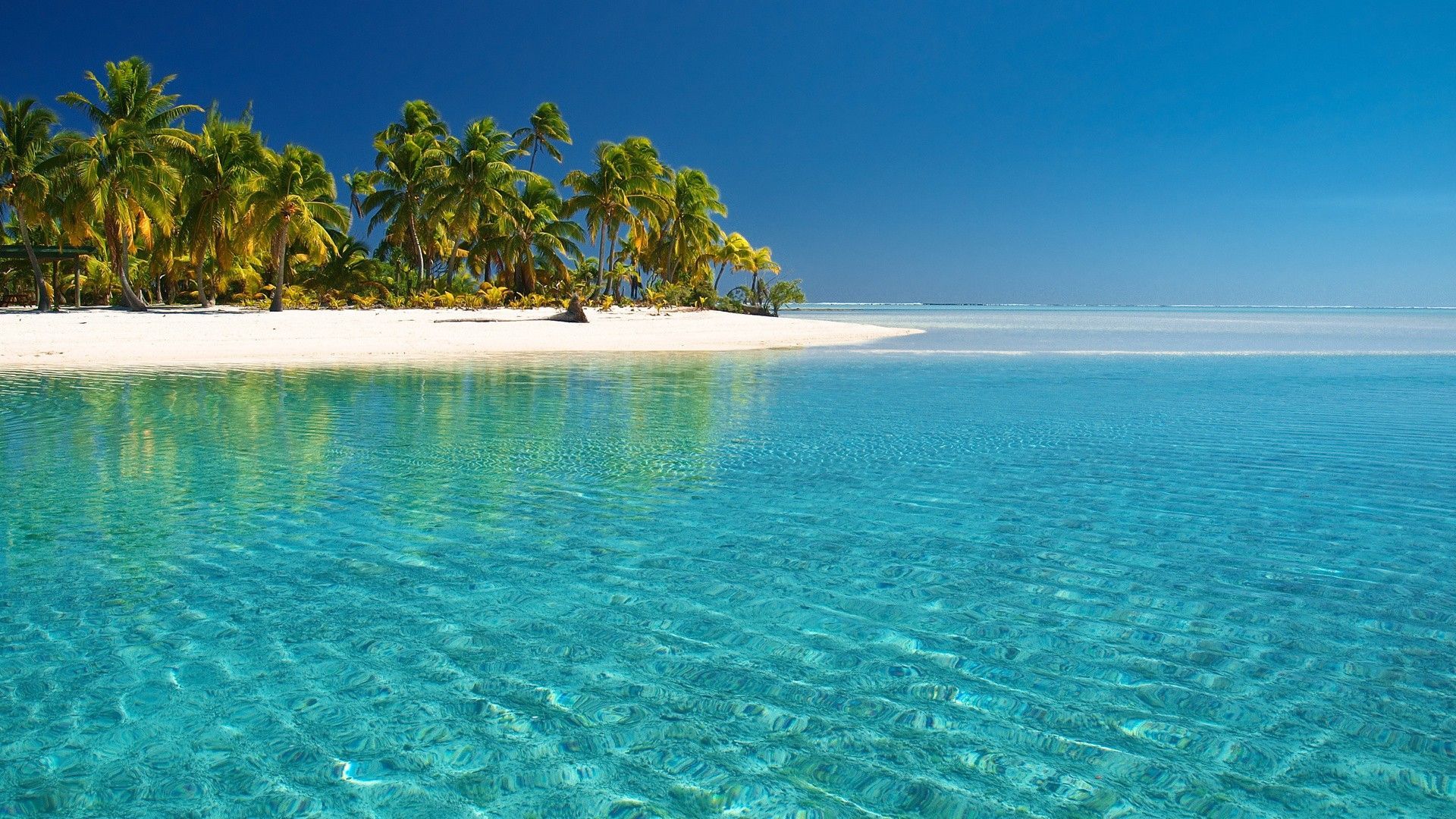 Spiaggia tropicale con palme, 1920x1080 Full HD 1080p, Laptop