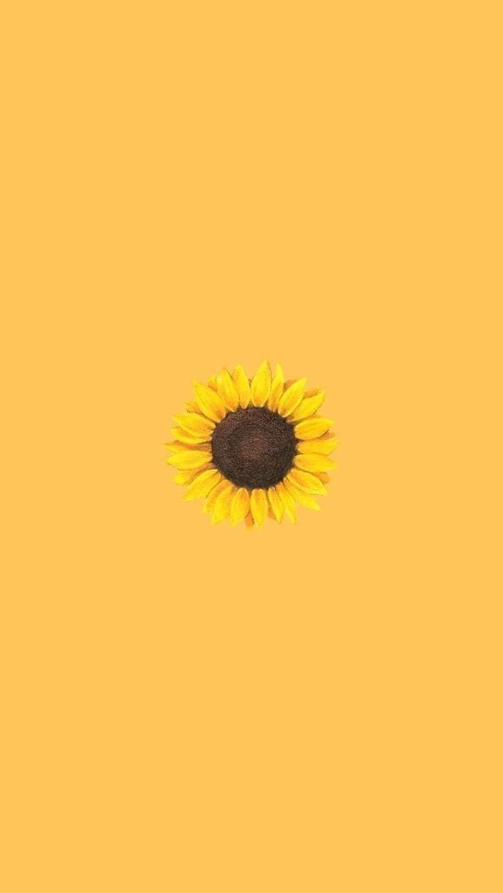 Girasole minimalista sfondo giallo, 721x1280 Verticale, Mobile