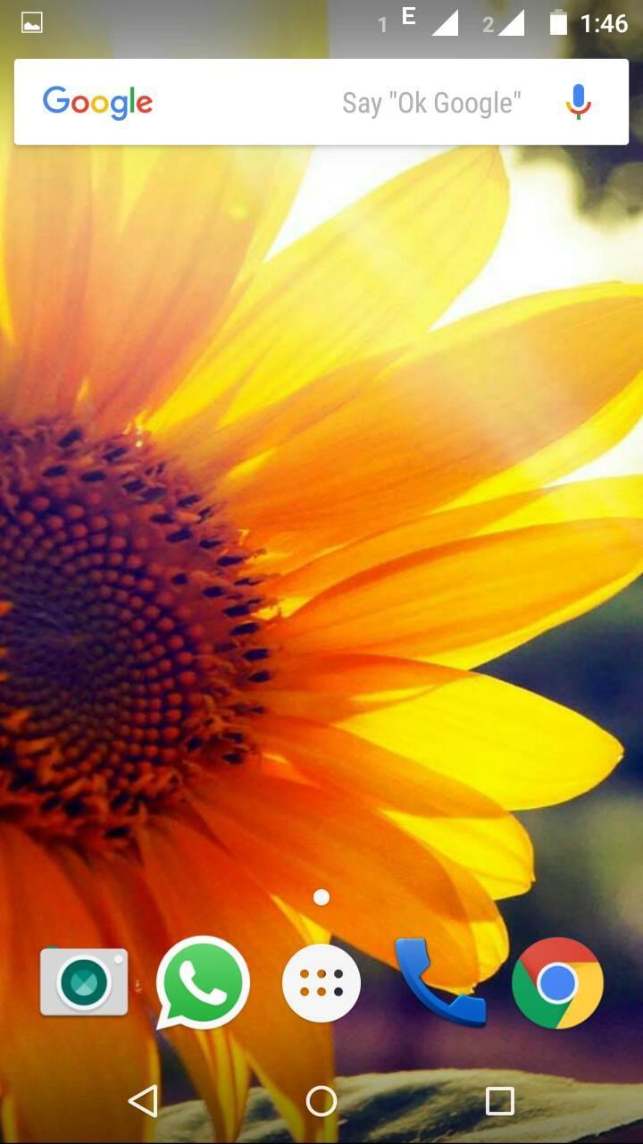 Girasole disegnato sfondo giallo, 720x1280 Full HD Verticale, Smartphone
