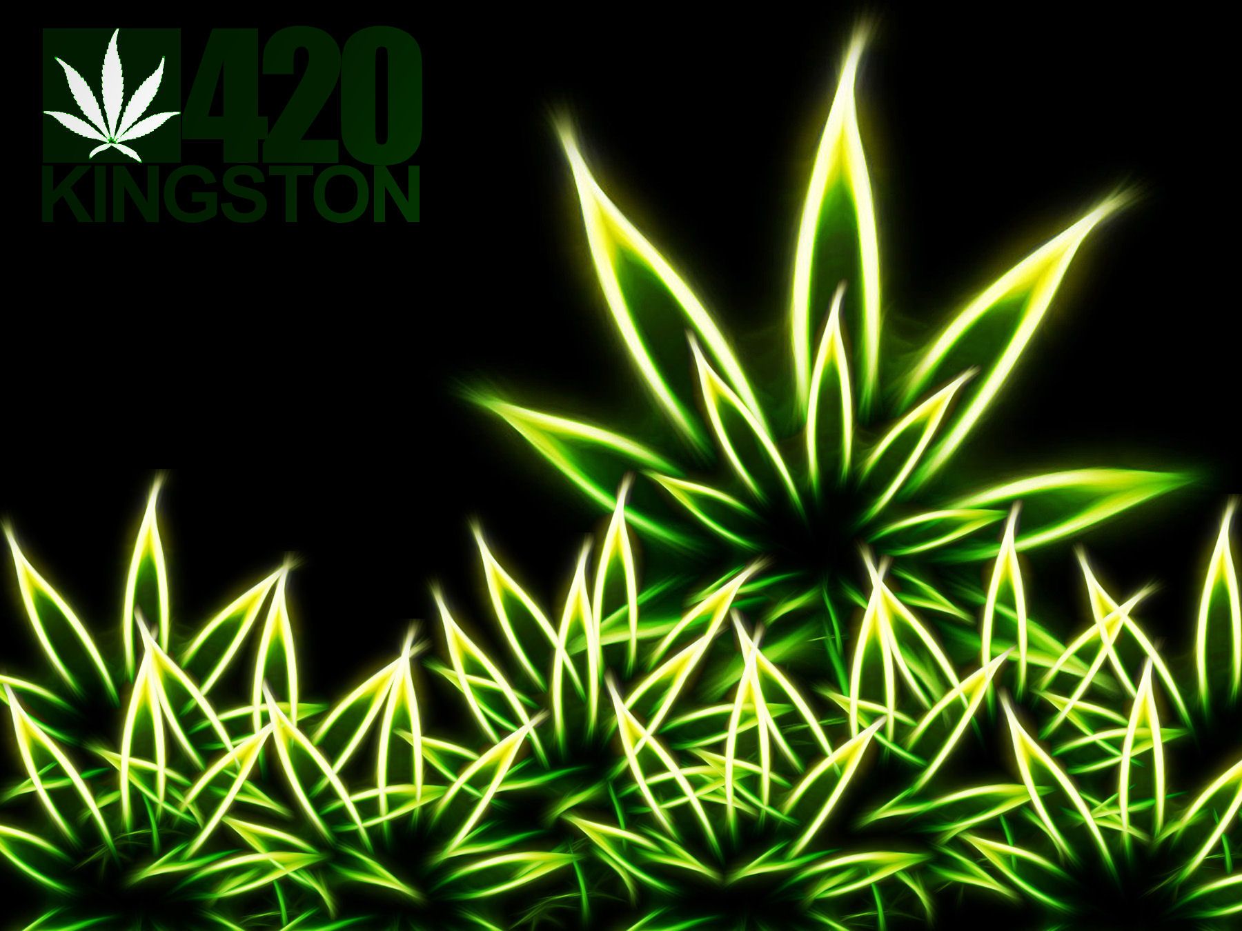 Foglie di marijuana neon verdi, 1800x1350 HD, Desktop