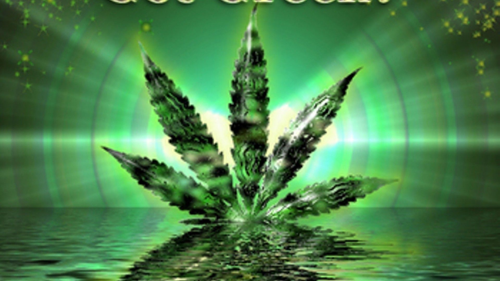 Piante di cannabis nella foresta, 2800x1880 2K+, Desktop