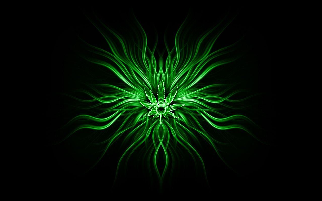Foglia verde luminosa astratta, 1280x800 HD, Desktop