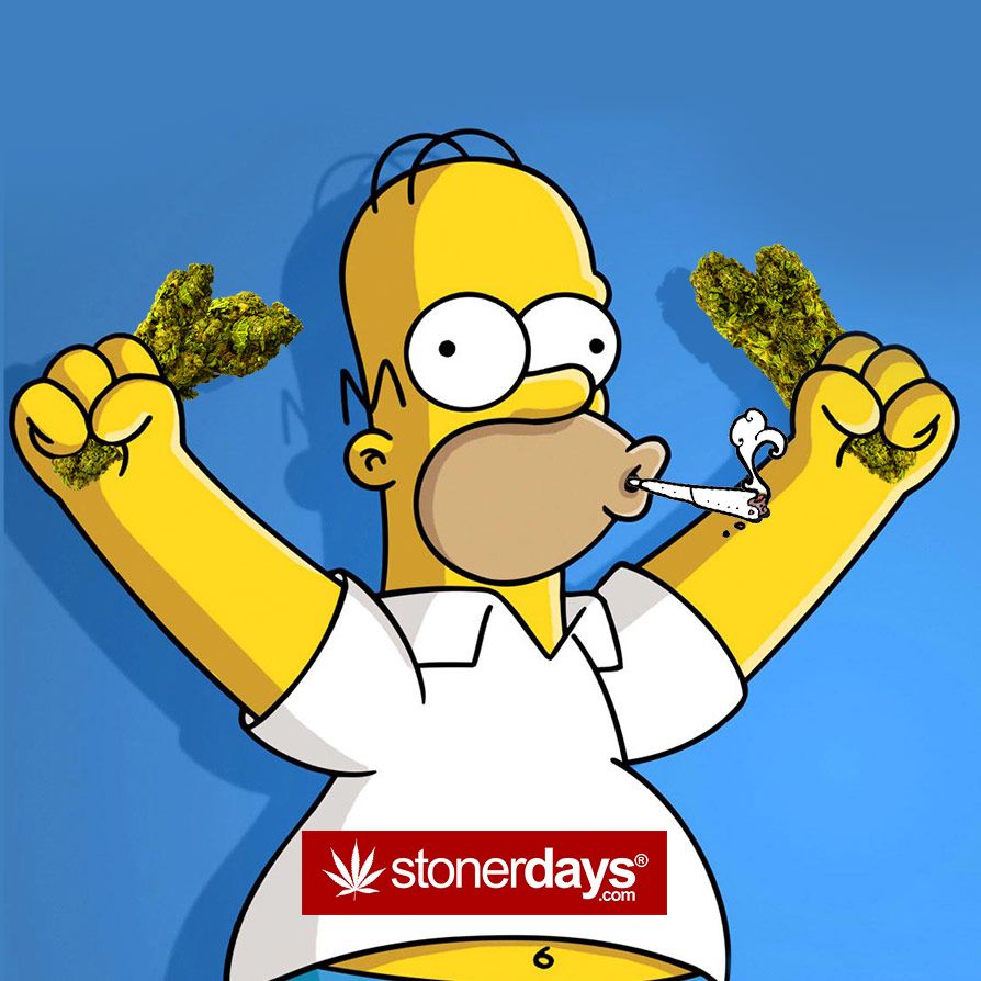 Homer Simpson con marijuana e joint, serie animata, 894x894 HD, Desktop