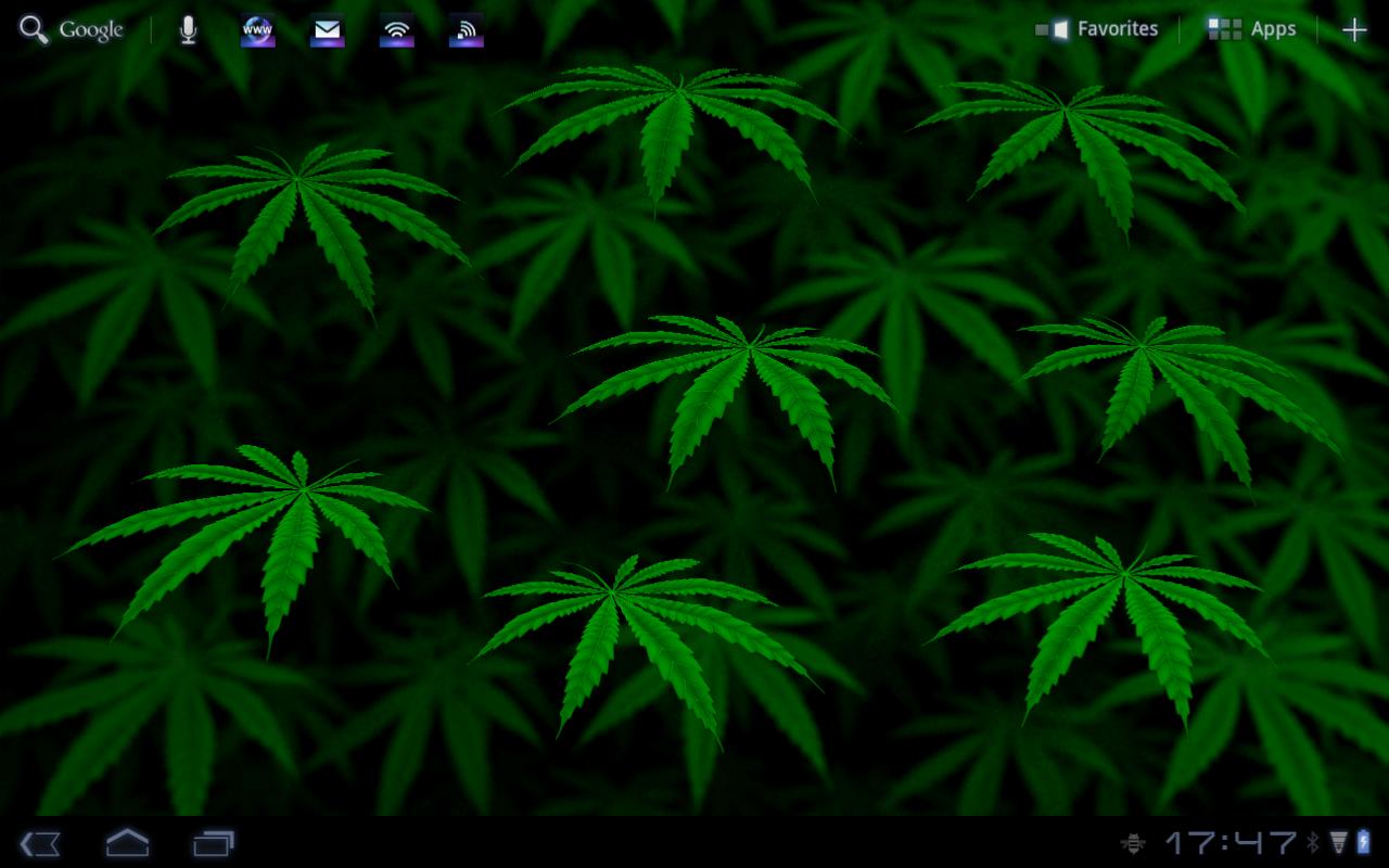 Foglia verde marijuana sfondo nero, 1440x900 HD, Desktop