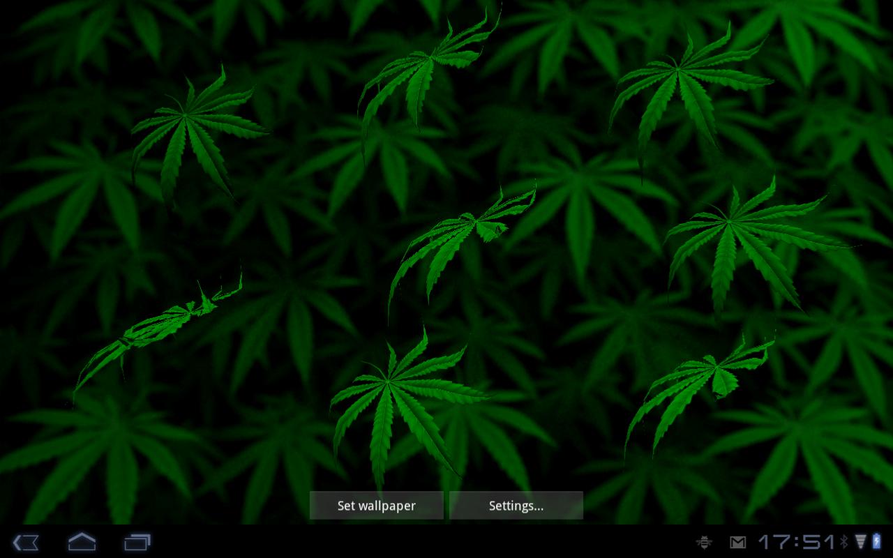 Foglia di marijuana verde con testo Weed, 1920x1200 Full HD+, Laptop