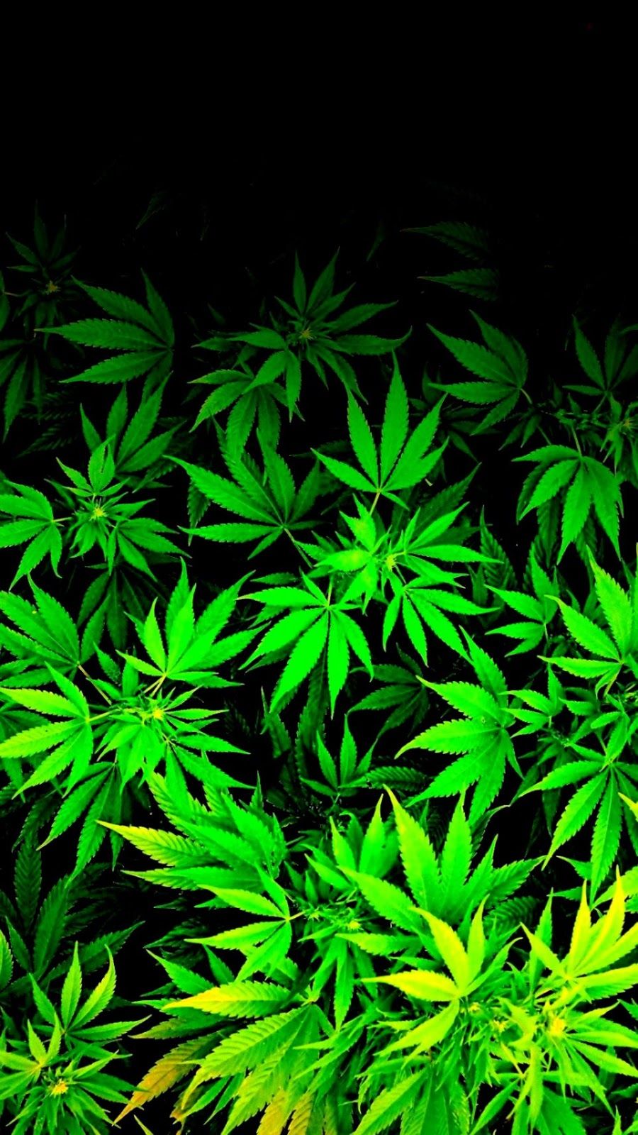 Foglia di marijuana verde animata, 1080x1920 Full HD Verticale, Smartphone
