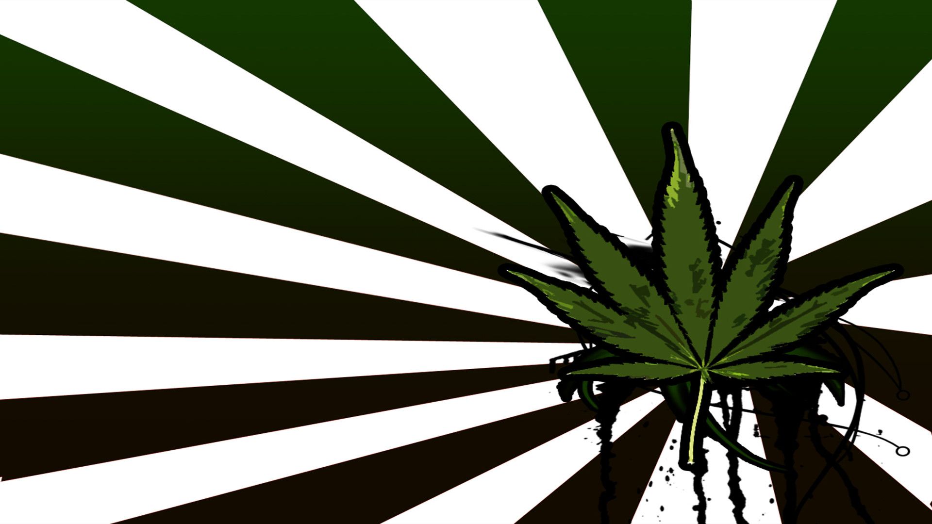Logo Windows fumo cannabis animato, sistema operativo Microsoft, 1920x1080 1080p, Desktop