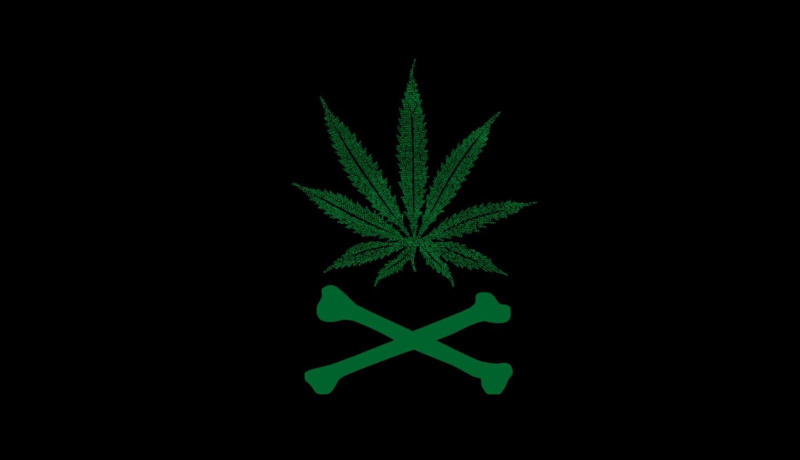Donna silhouette foglia cannabis neon, 1024x768 HD, Desktop