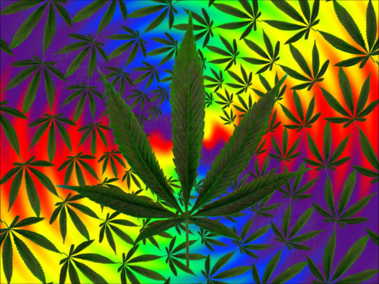 Foglia di cannabis multicolore, 1200x800 HD, Desktop