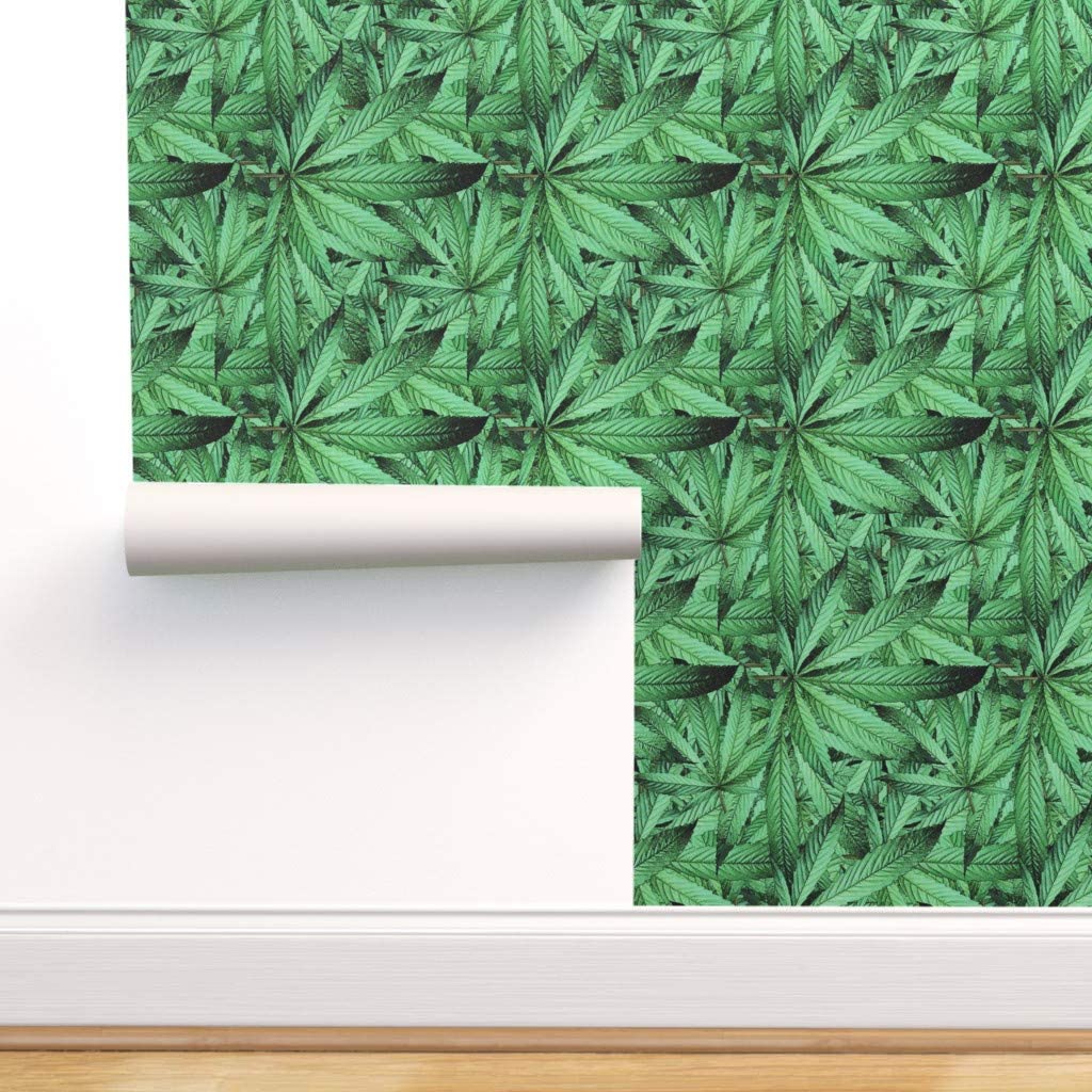 Cime di cannabis verde, 1000x1000 HD, Laptop