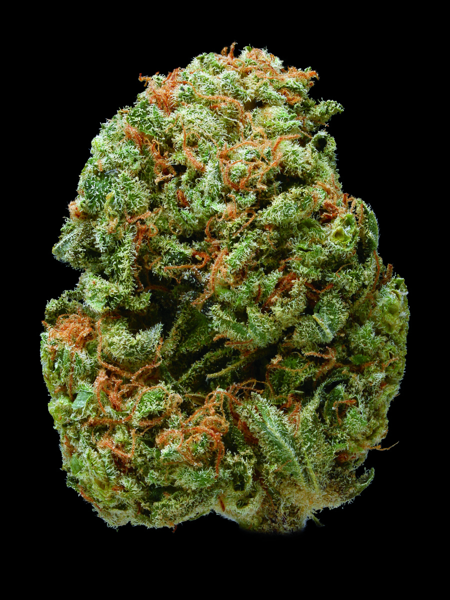 Gemma di cannabis macro verde, 900x1200 Verticale, Telefono