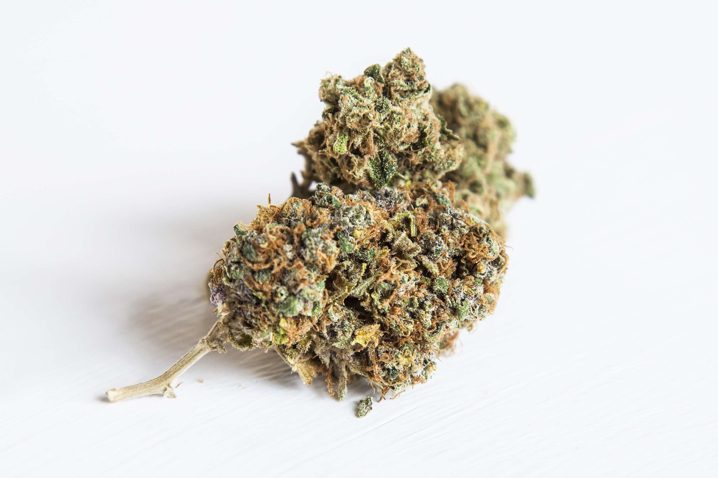 Cima di cannabis su bianco, 2738x1825 2K+, Laptop
