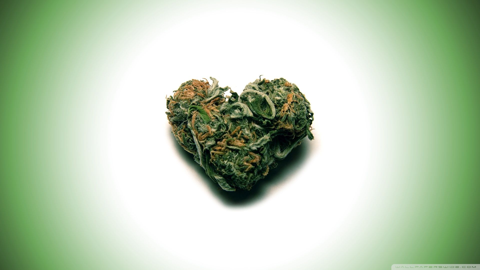 Foglie di cannabis verde, 1920x1080 1080p, PC