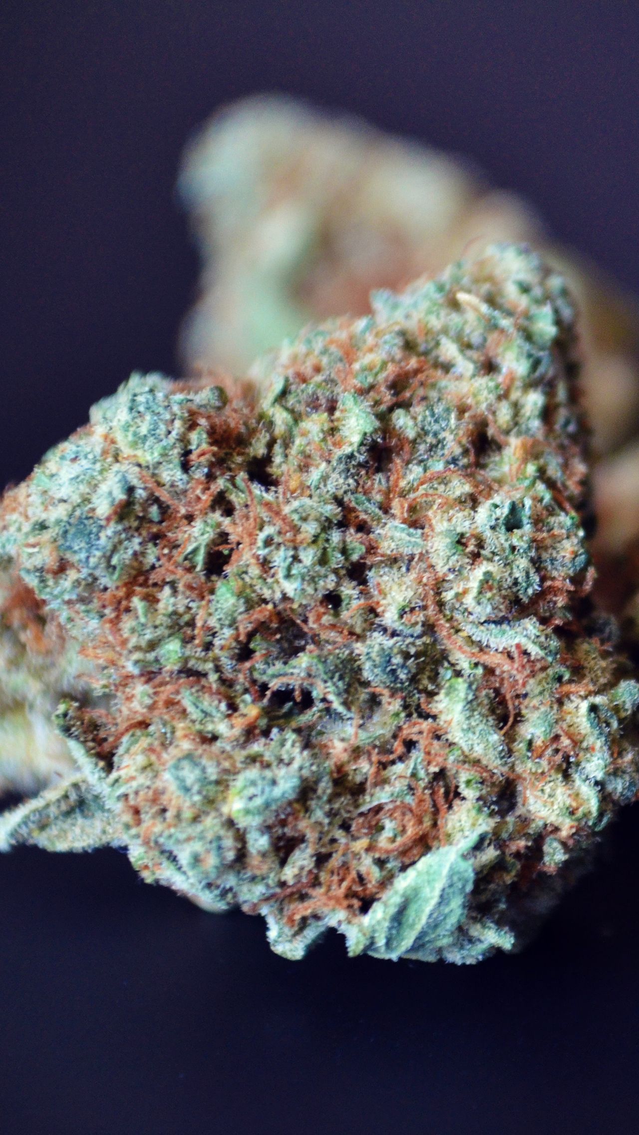 gemma cannabis macro, 1280x2272 Verticale, Telefono