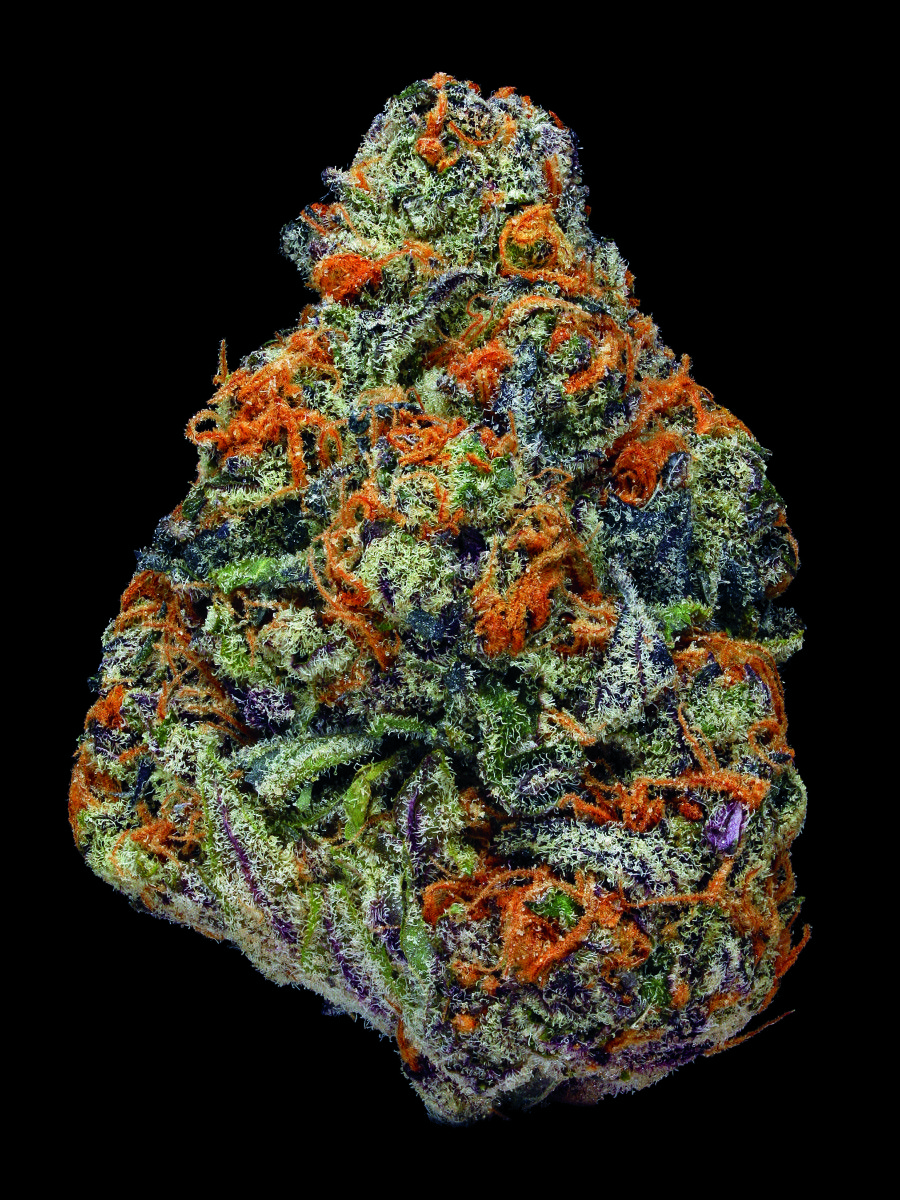 Gemma di cannabis macro colorata, 900x1200 Full HD Verticale, iPhone
