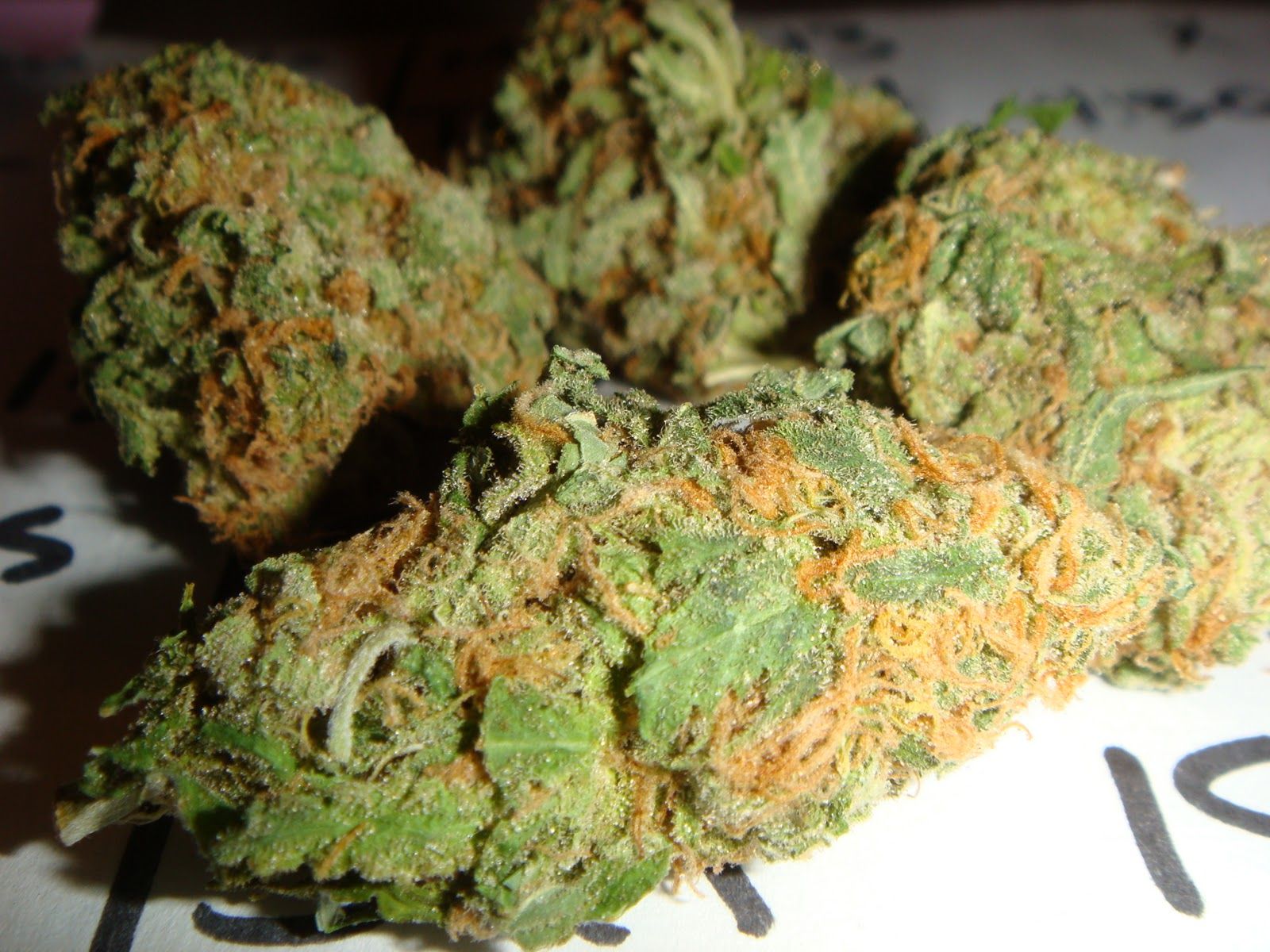 Cime di cannabis su nero, 1920x1080 Full HD 1080p, PC