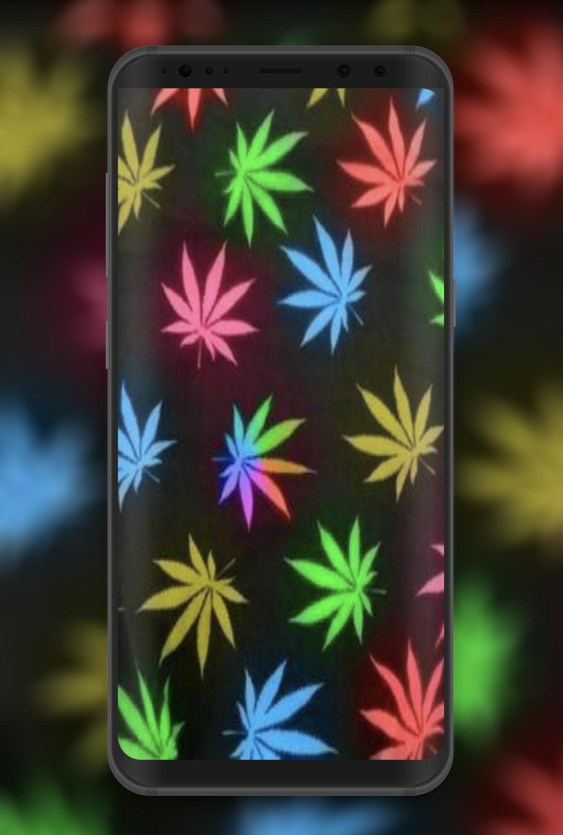 Foglie di cannabis verdi, 1920x1080 1080p, Laptop