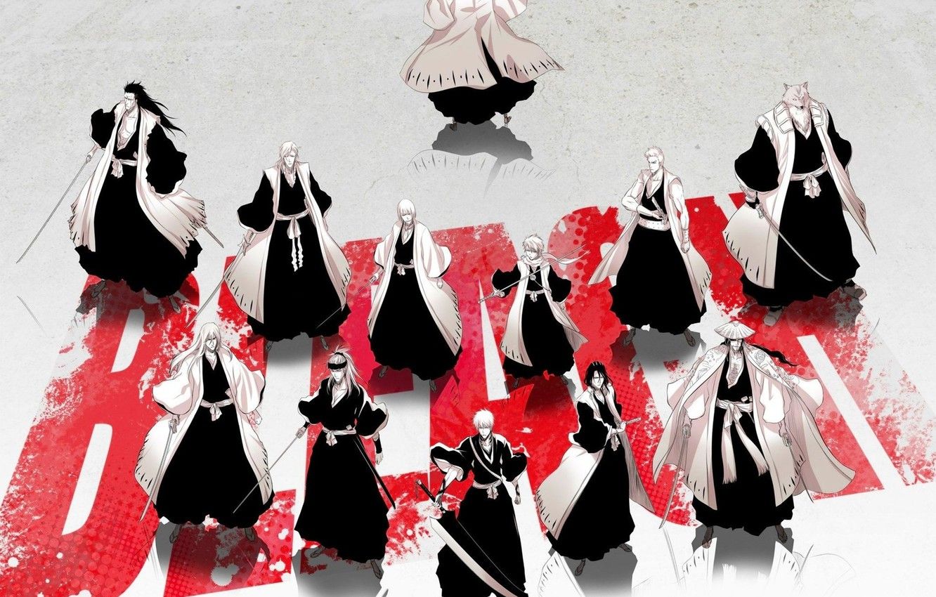 Capitani Gotei 13 Bleach, anime, 1332x850 720p, PC