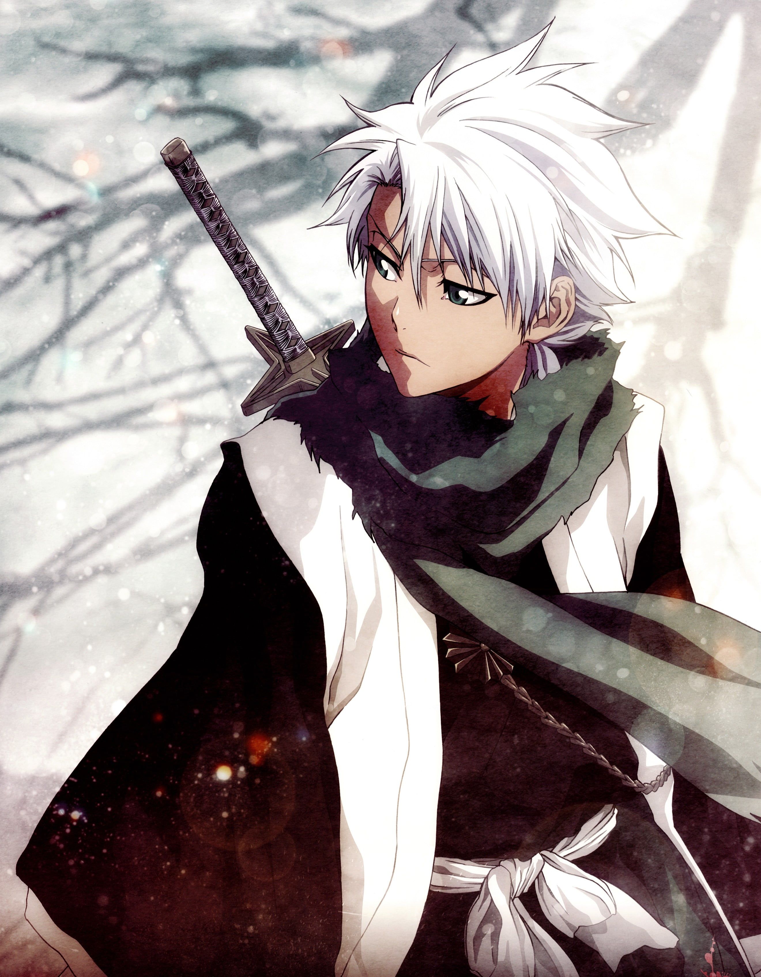 Hitsugaya Toshiro, Bleach, 2640x3390 Verticale, POCO