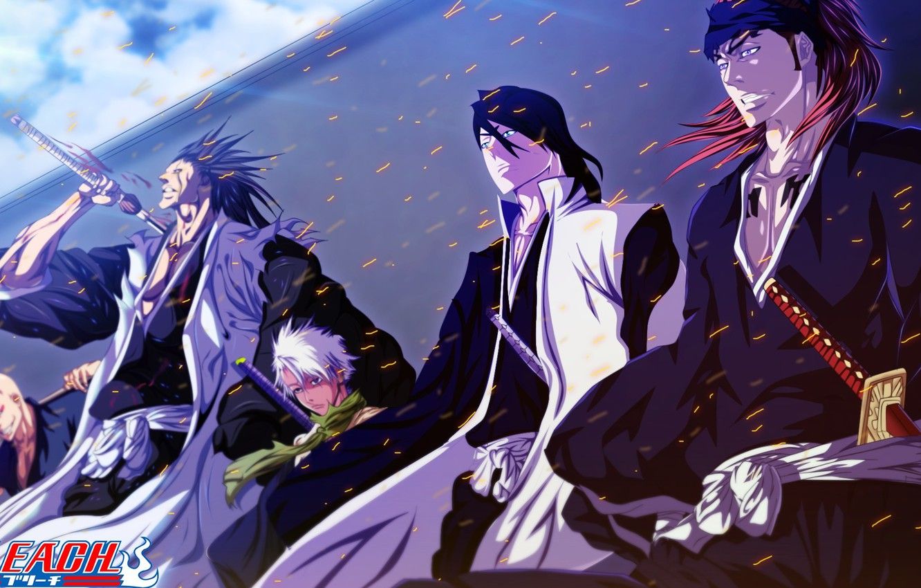 Capitani Bleach con katane, 1332x850 HD, Desktop