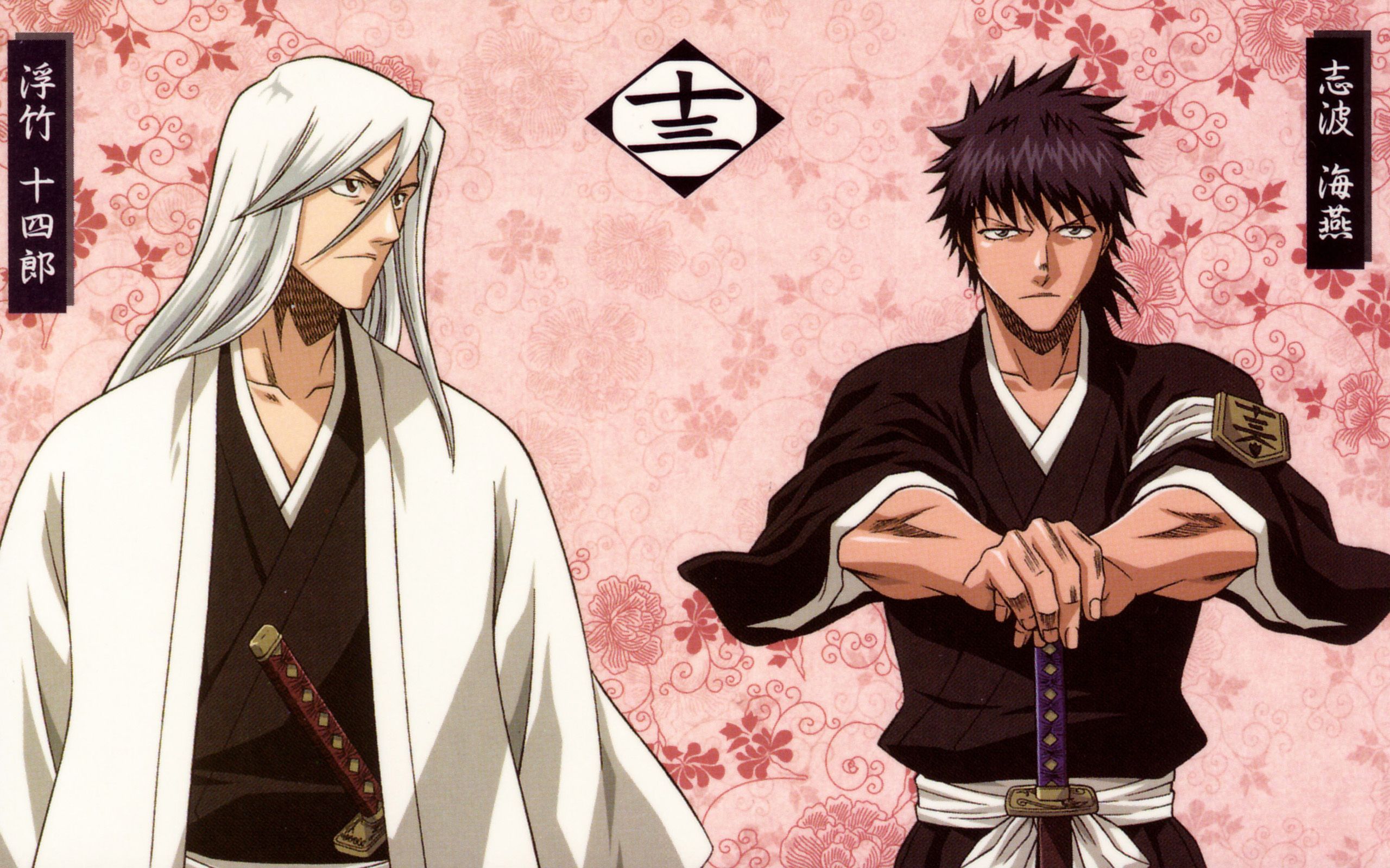 Capitani Bleach anime, kimono, 2560x1600 WQXGA, Desktop
