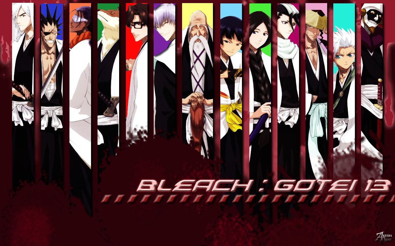 Capitani Bleach Gotei 13, 1280x800 720p, Laptop