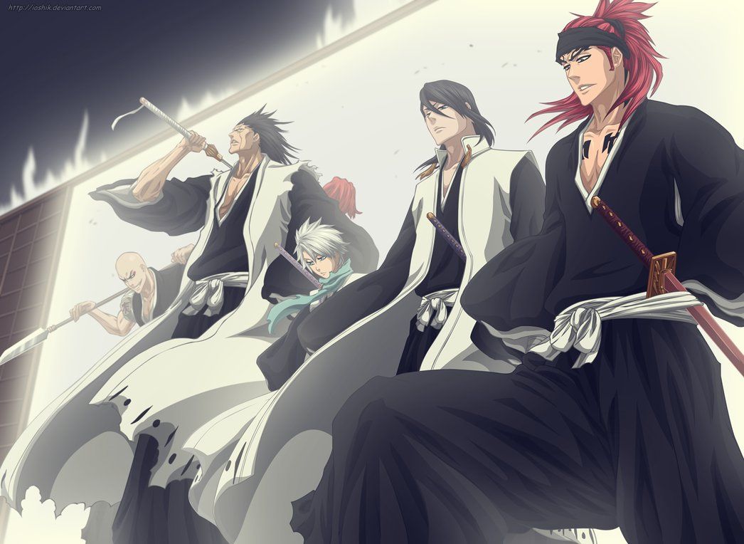 Capitani Bleach anime, 1046x764 HD, Laptop