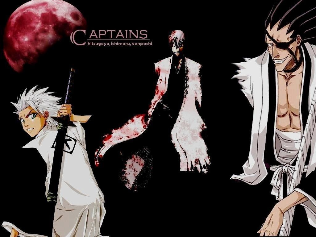Capitani Bleach, Hitsugaya e Kenpachi, 1024x768 HD, iMac
