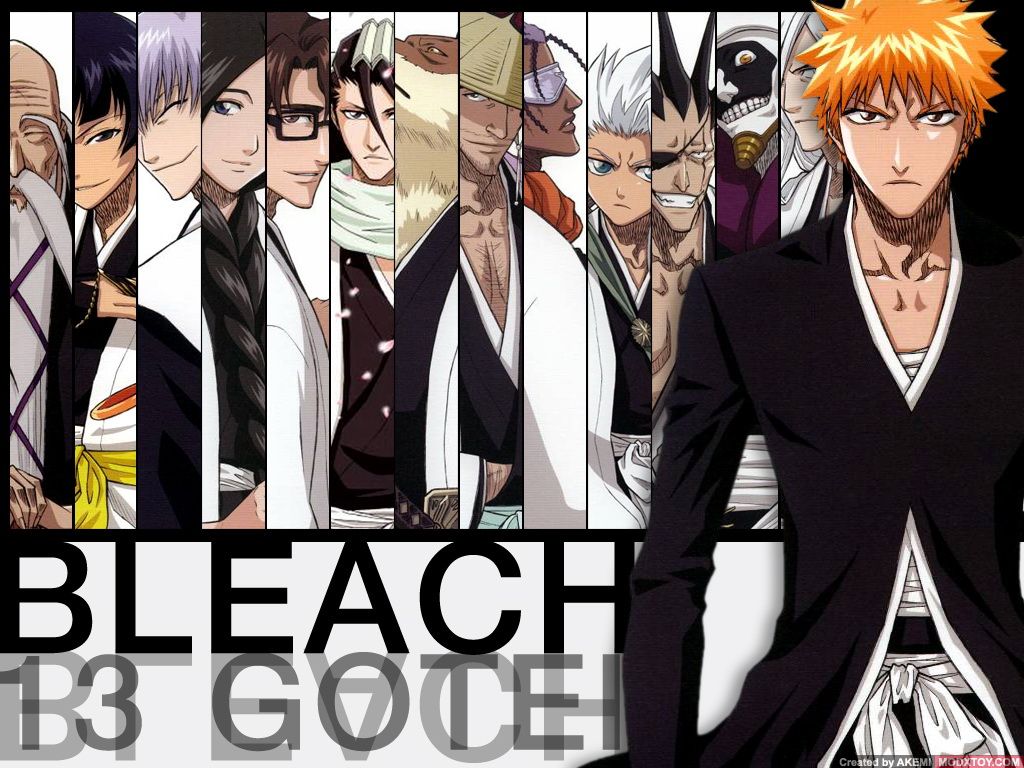 Capitani Gotei 13 Bleach, 1024x768 HD, Desktop