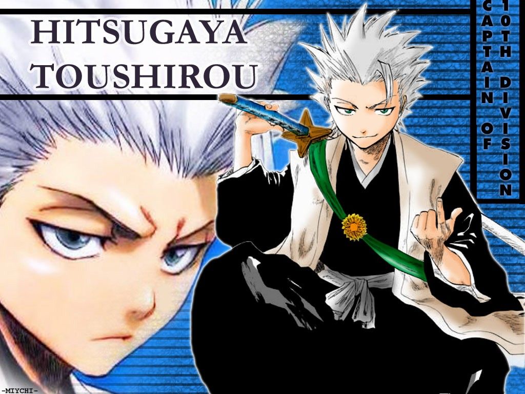 Hitsugaya Toushirou Bleach, 1024x768 HD, Laptop