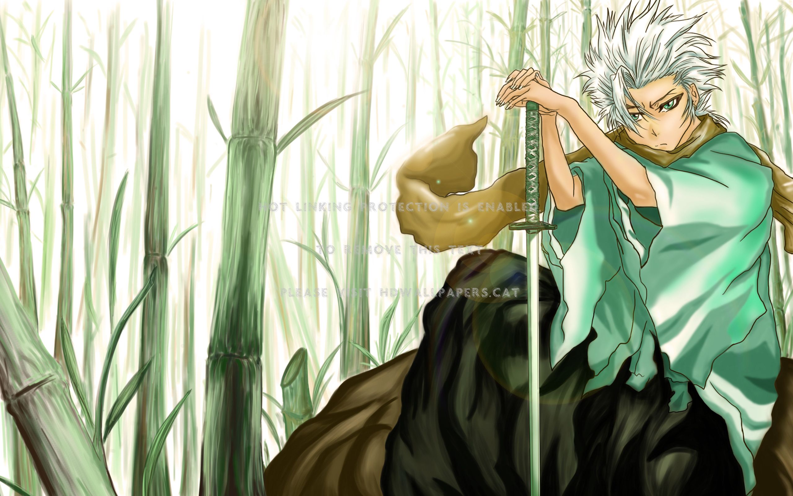 Toshiro Hitsugaya Bleach capitano, 2560x1600 WQXGA, MacBook Pro